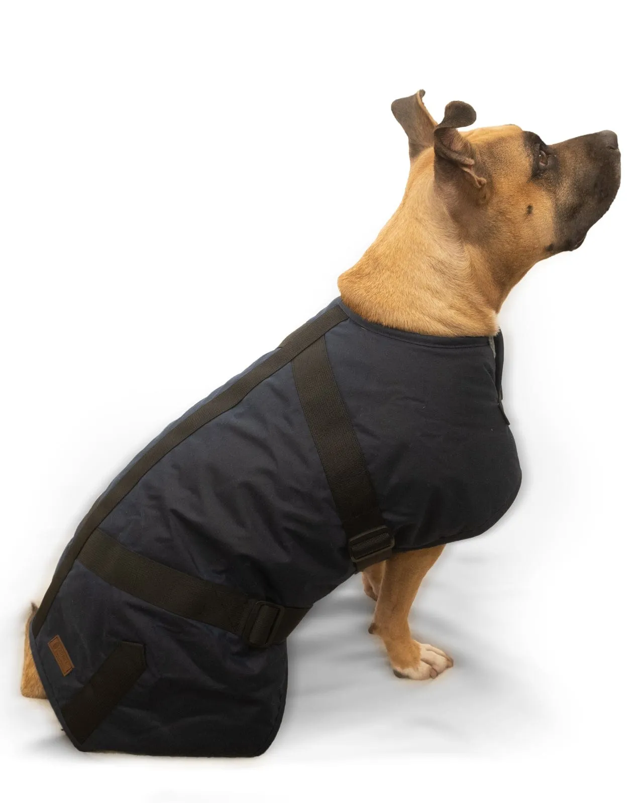 Clancy Oilskin Canine Coat