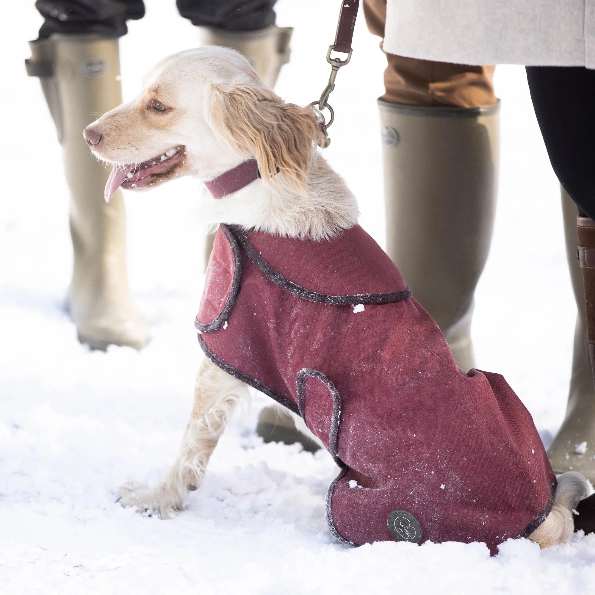 Le Chameau Dog Coat